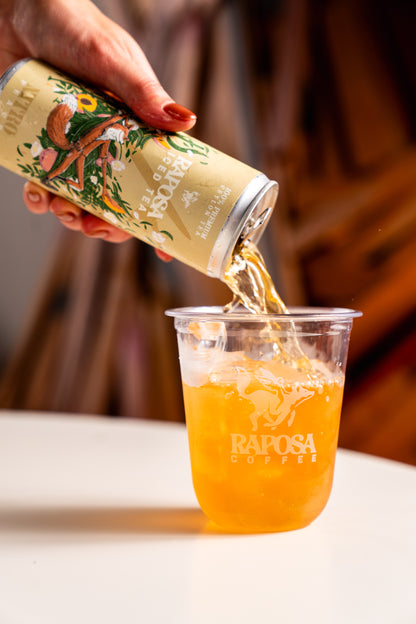 raposa nitro peach iced tea poured over ice