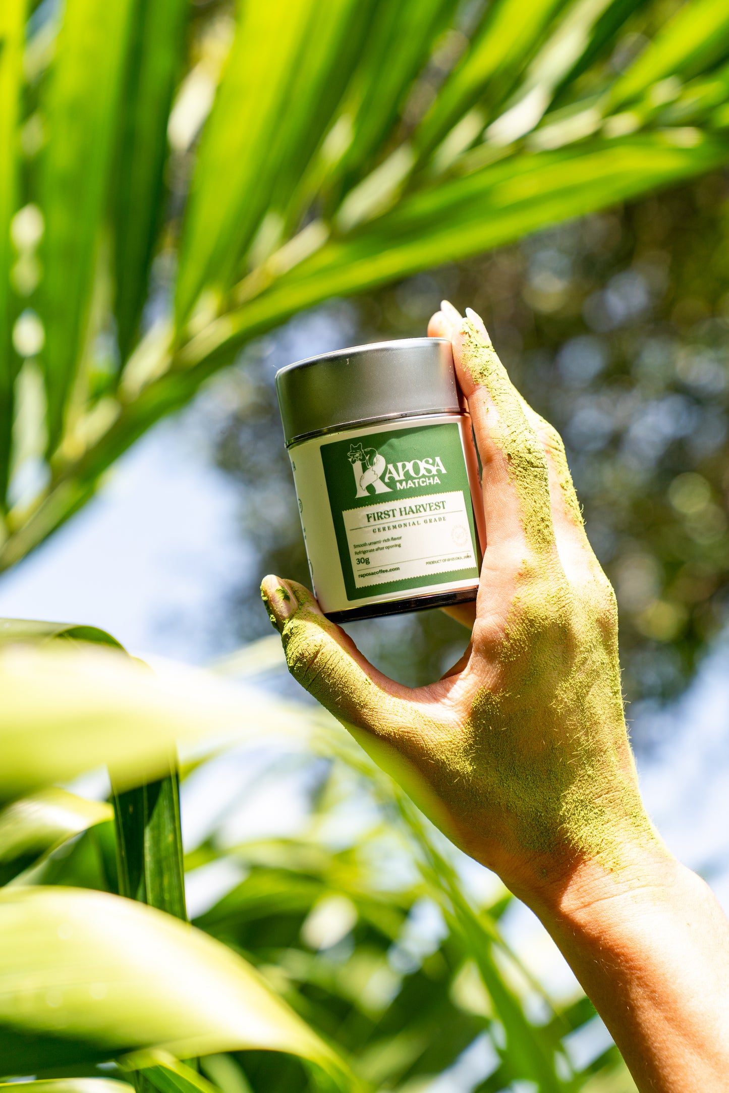 Raposa First Harvest Matcha